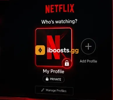 Netflix Private Profile