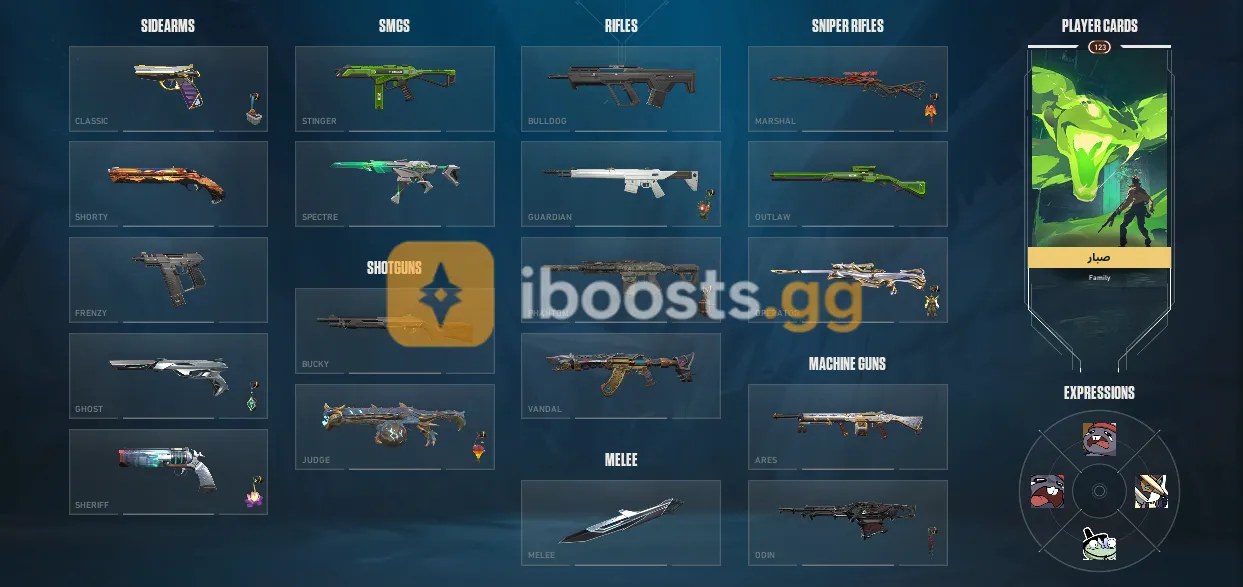 Thumbnail 19