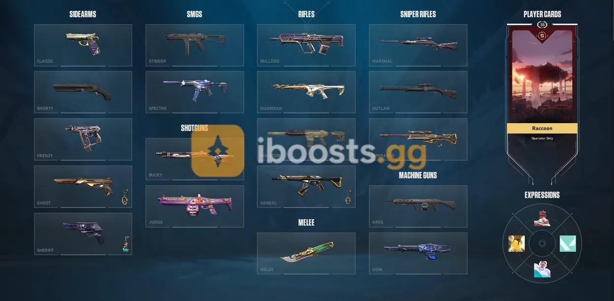 Thumbnail 12